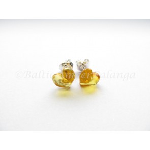 baltic amber earrings